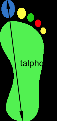 talphossz_2_200x430_px.png